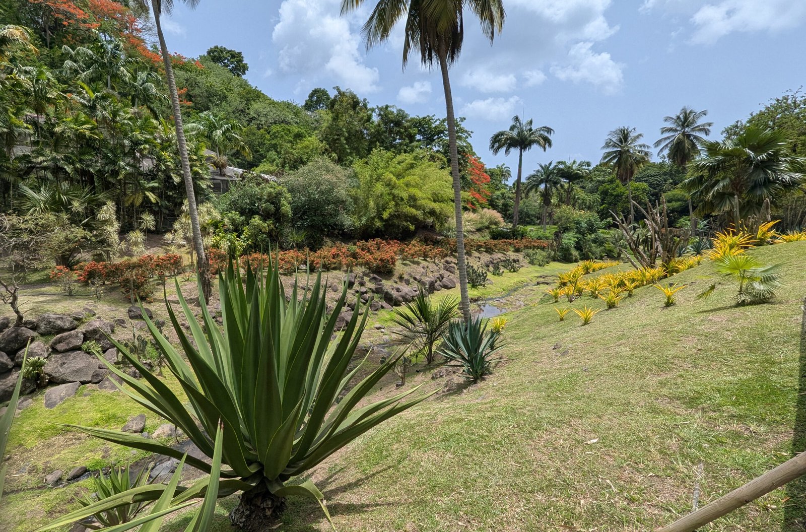 Parc zoologique et floral