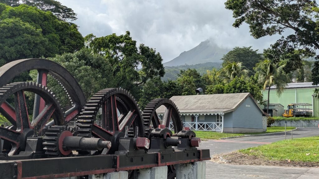 Vue sur la montagne Pelée lors de la visite de la distillerie